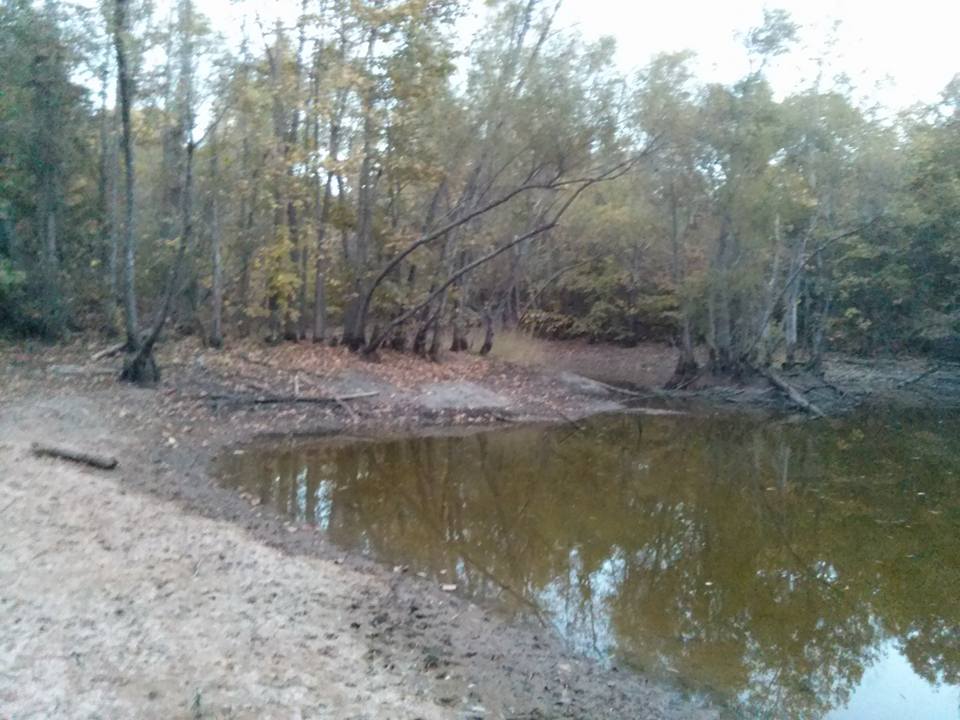 Attached picture pond 3.jpg